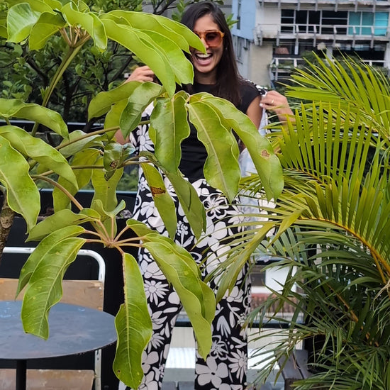 A tall woman wearing the black and white floral set on top of a beautiful rooftop in Medellin